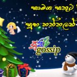 ඔබ සැමට සාමය සතුට පිරි සුභ නත්තලක් වේවා!!!