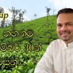 තේ තහනම දෙසැම්බර් 30න් අවසන්…