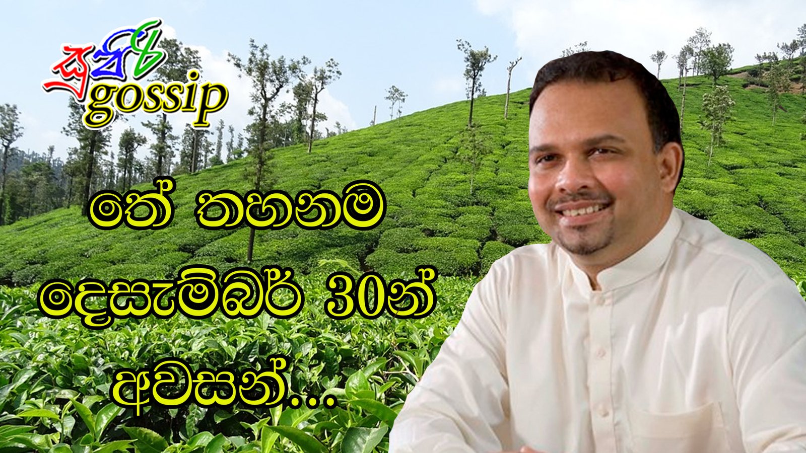 තේ තහනම දෙසැම්බර් 30න් අවසන්…