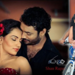 “නරියා රජා වෙන්නෙ තීන්ත බාල්දියට වැටුණමයි” – ගයාන් වික්රමතිලකගෙන් ප්රකාශයක්