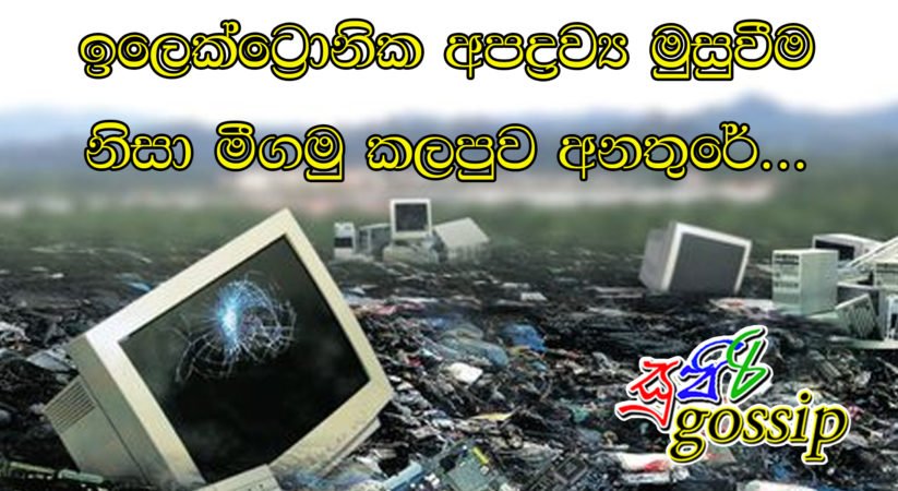 ඉලෙක්ට්‍රොනික අපද්‍රව්‍ය මුසුවීම නිසා මීගමු කලපුව අනතුරේ…