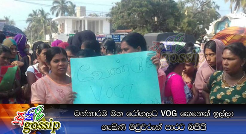 මන්නාරම මහ රෝහලට VOG කෙනෙක් ඉල්ලා ගැබිණි මවුවරුන් පාරට බසියි