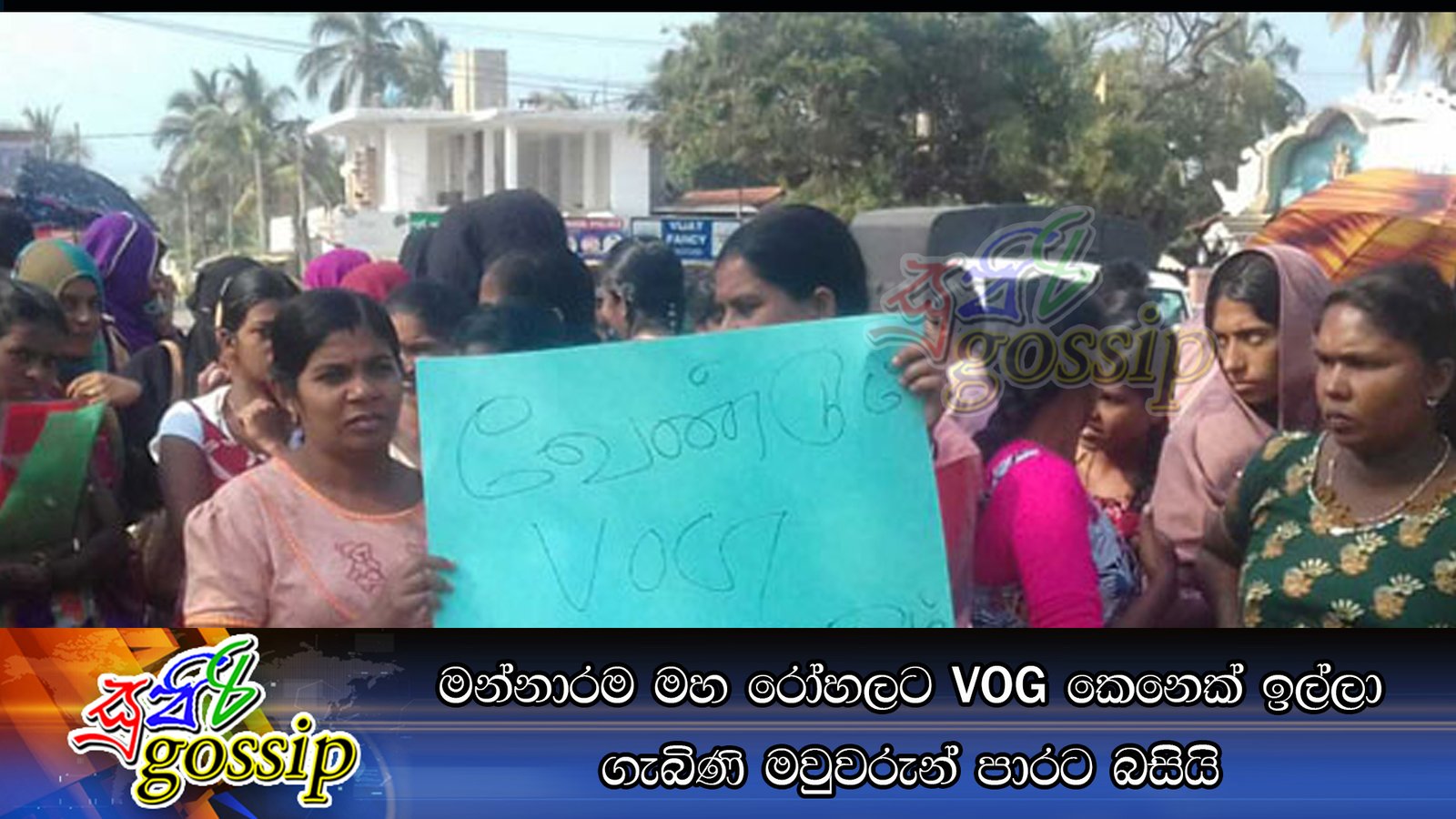 මන්නාරම මහ රෝහලට VOG කෙනෙක් ඉල්ලා ගැබිණි මවුවරුන් පාරට බසියි