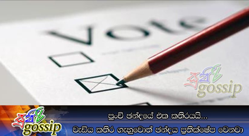 පුංචි ඡන්දයේ එක කතිරයයි… වැඩිය කතිර ගැහුවොත් ඡන්දය ප්‍රතික්ෂේප වෙනවා