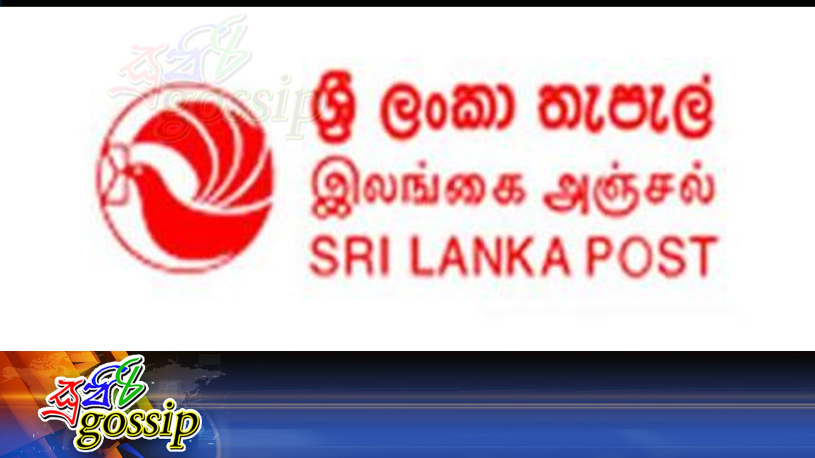 රැකියාව අතරතුර ඡන්ද වැඩ කරපු තැපැල් සහයිකාවගේ වැඩ තහනම් කරයි
