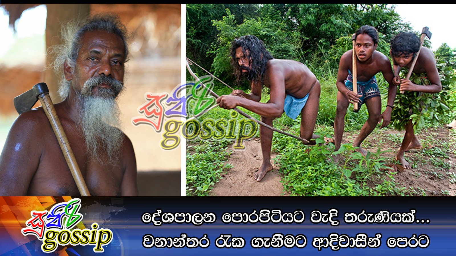 දේශපාලන පොරපිටියට වැදි තරුණියක්… වනාන්තර රැක ගැනීමට ආදිවාසීන් පෙරට