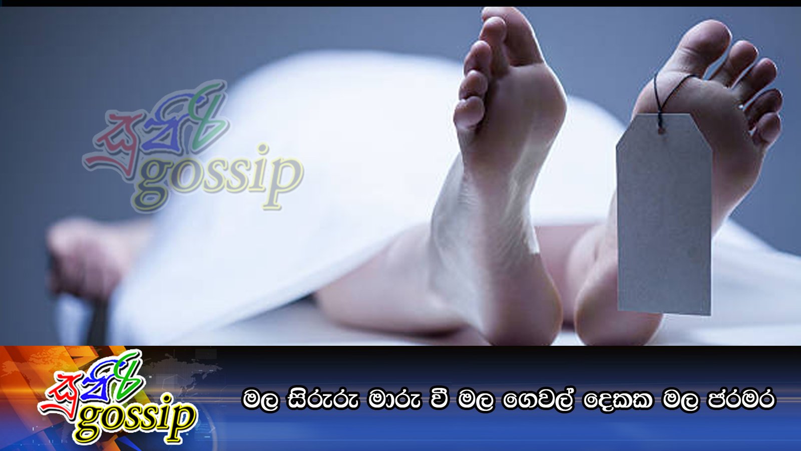 මල සිරුරු මාරු වී මල ගෙවල් දෙකක මල ජරමර