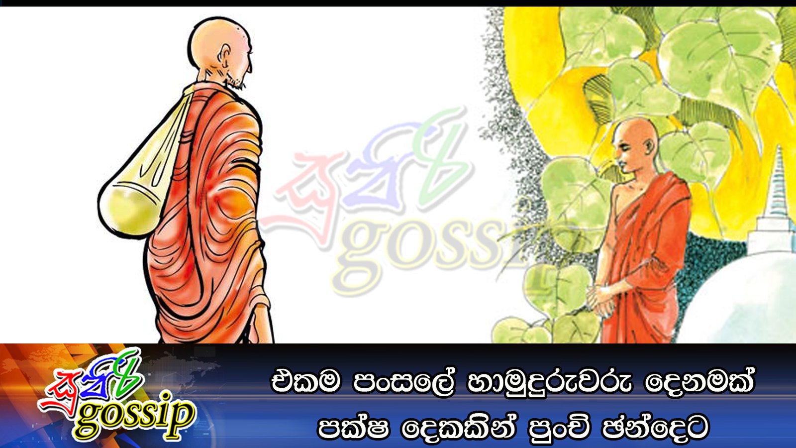 එකම පංසලේ හාමුදුරුවරු දෙනමක් පක්ෂ දෙකකින් පුංචි ඡන්දෙට