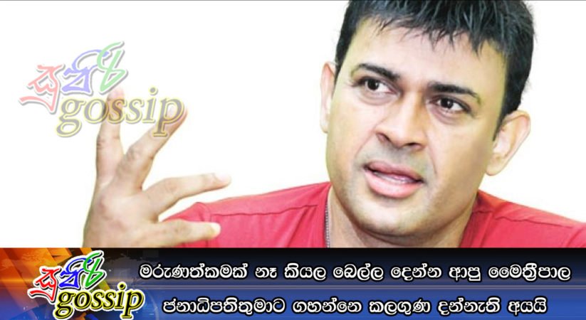 මරුණත්කමක් නෑ කියල බෙල්ල දෙන්න ආපු මෛත්‍රීපාල ජනාධිපතිතුමාට ගහන්නෙ කලගුණ දන්නැති අයයි