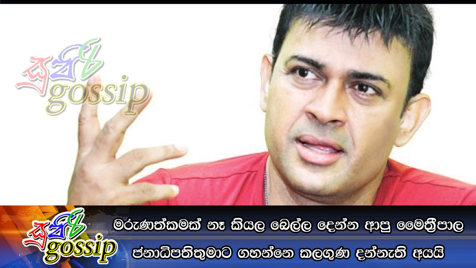මරුණත්කමක් නෑ කියල බෙල්ල දෙන්න ආපු මෛත්‍රීපාල ජනාධිපතිතුමාට ගහන්නෙ කලගුණ දන්නැති අයයි