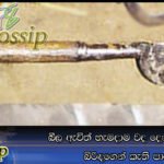 බීල ඇවිත් හැමදාම වද දෙන සැමියට බිරිඳගෙන් කැති පාර