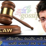ගම්මන්පිලට එරෙහිව ඇති වංචා නඩුවට සාක්ෂි කරුවන් 20ක් හා ලේඛන 14 ක්