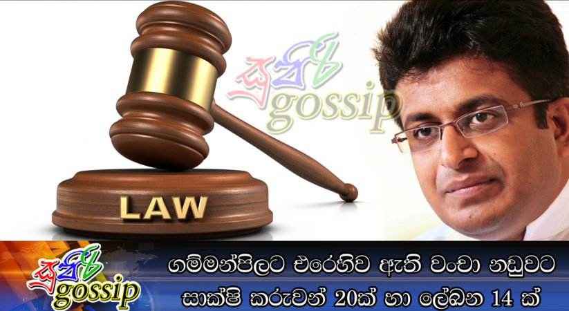 ගම්මන්පිලට එරෙහිව ඇති වංචා නඩුවට සාක්ෂි කරුවන් 20ක් හා ලේඛන 14 ක්