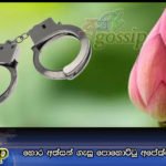 හොර අත්සන් ගැසූ පොහොට්ටු අපේක්ෂකයා රිමාන්ඩ්
