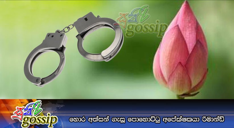 හොර අත්සන් ගැසූ පොහොට්ටු අපේක්ෂකයා රිමාන්ඩ්