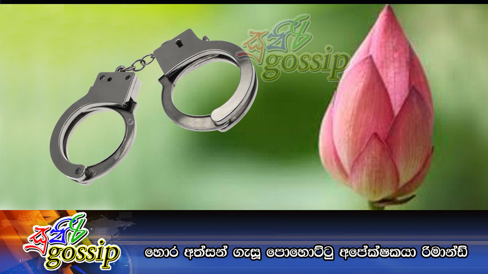 හොර අත්සන් ගැසූ පොහොට්ටු අපේක්ෂකයා රිමාන්ඩ්