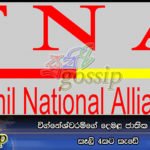 විග්නේශ්වරම්ගේ දෙමළ ජාතික සංසධය කෑලි 4කට කැඩේ