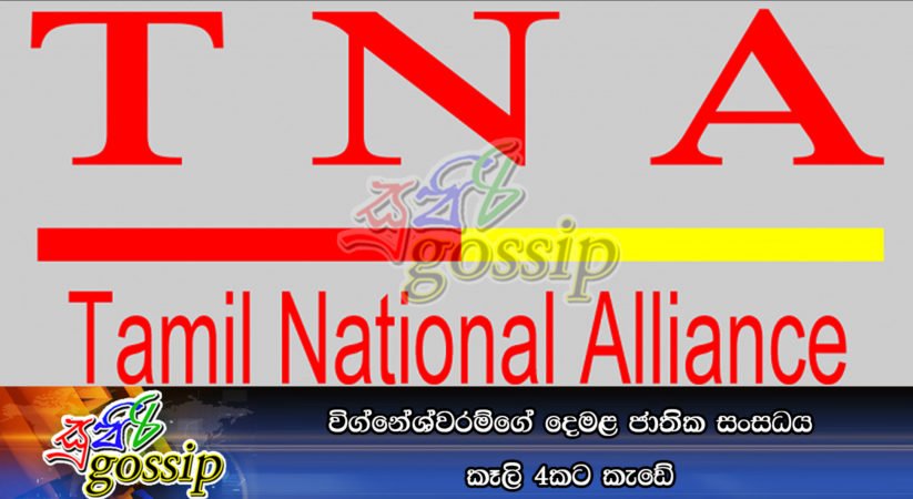 විග්නේශ්වරම්ගේ දෙමළ ජාතික සංසධය කෑලි 4කට කැඩේ