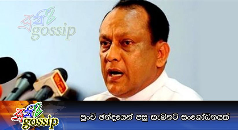 පුංචි ඡන්දයෙන් පසු කැබිනට් සංශෝධනයක්