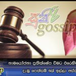 නාමයෝජනා ප්‍රතික්ෂේප වීමට එරෙහිව පොහොට්ටුව දැමූ පෙත්සම් 6ක් ඉල්ලා අස්කර ගනී