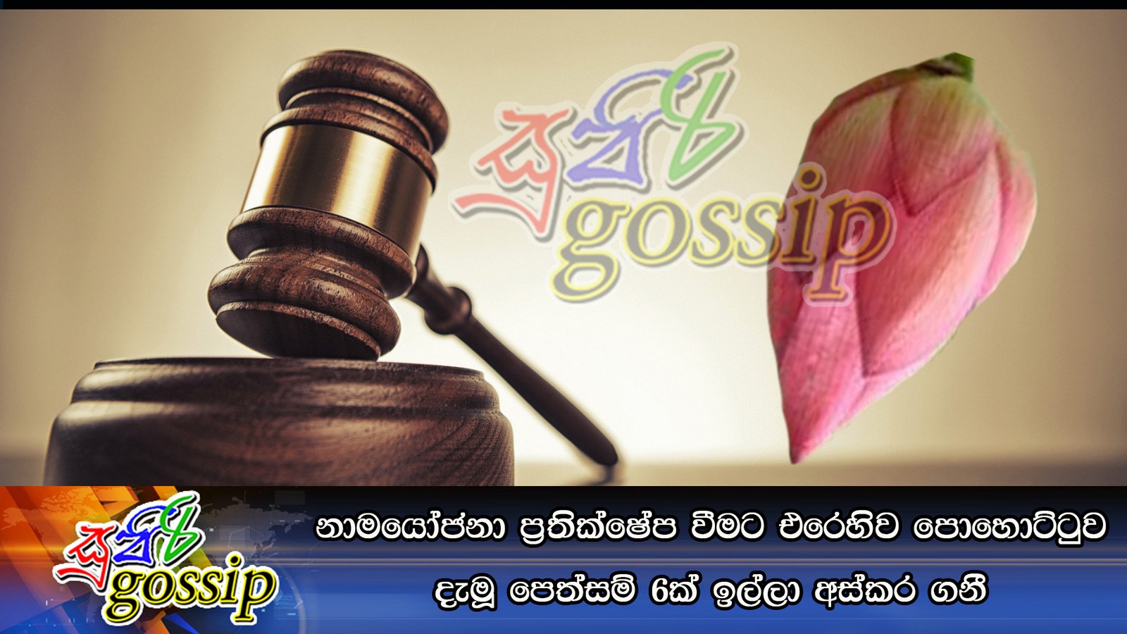 නාමයෝජනා ප්‍රතික්ෂේප වීමට එරෙහිව පොහොට්ටුව දැමූ පෙත්සම් 6ක් ඉල්ලා අස්කර ගනී