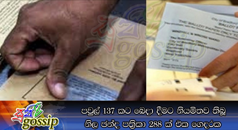 පවුල් 137කට බෙදා දීමට නියමිතව තිබූ නිල ඡන්ද පත්‍රිකා 288ක් එක ගෙදරක