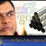 බැසිල්ගේ බට නඩුව ජූනි 5 දා සිට