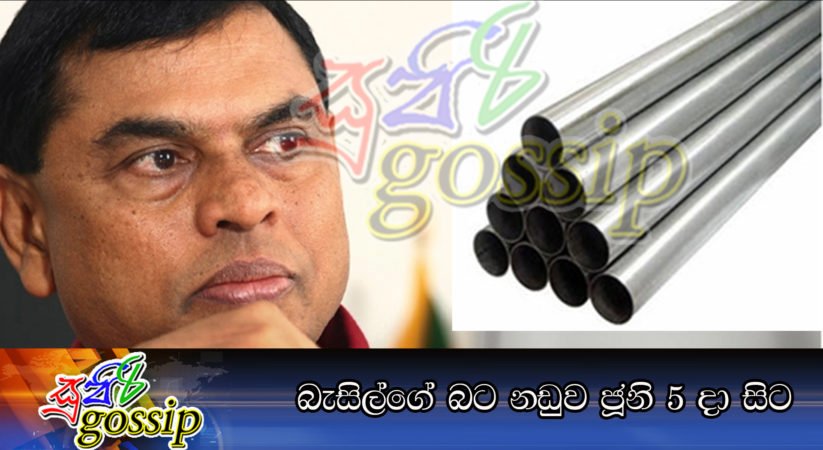 බැසිල්ගේ බට නඩුව ජූනි 5 දා සිට