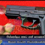 පිස්තෝලය අතට ගත් පොහොට්ටු අපේක්ෂක මැරයා සංධාන ආධාරකරුවෙකුට තඩි බායි