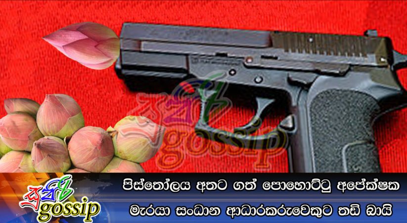 පිස්තෝලය අතට ගත් පොහොට්ටු අපේක්ෂක මැරයා සංධාන ආධාරකරුවෙකුට තඩි බායි