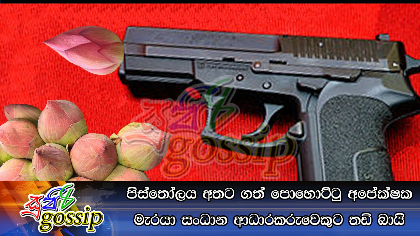 පිස්තෝලය අතට ගත් පොහොට්ටු අපේක්ෂක මැරයා සංධාන ආධාරකරුවෙකුට තඩි බායි