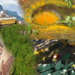 වෙළද ගැටවලට රැවටෙන්න එපා.. අලුතින් හමුවූ ශ්‍රී පාදයේ ශිව පාදය පට්ටපල් බොරුවක්..