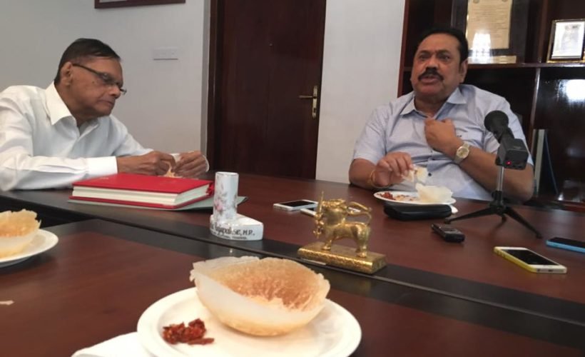 පොහොට්ටුව කොටළුවෙක්.. අනාගත පරම්පරාවක් නැහැ..