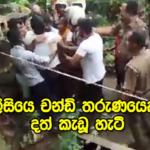 නෑනාට යටවූ පොලීසිය මහ සෙනගක් ඉදිරියේ අත් පා බැද  මස්සිනාගේ දත් කඩයි