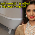 හේතුව හෘදයාබාධයක් නොවෙයි – ශ්‍රී දේවිගේ මරණයට ඇත්තම හේතුව මෙන්න…