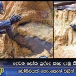 දෙවන ලෝක යුද්දෙ කාල දැමූ කිලෝ 450ක බෝම්බයක් හොංකොන් වලින් හමුවෙයි