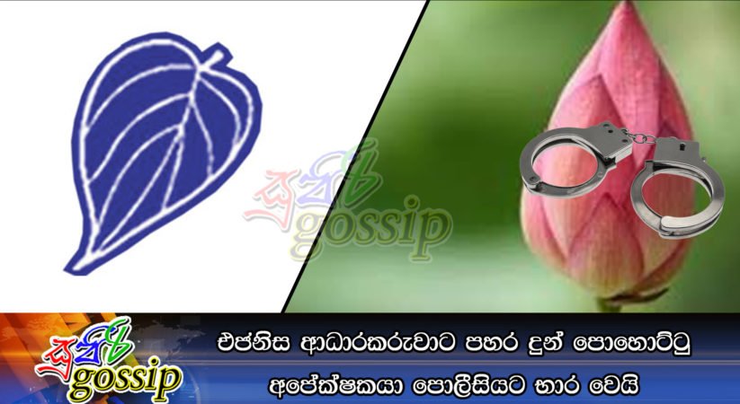 එජනිස ආධාරකරුවාට පහර දුන් පොහොට්ටු අපේක්ෂකයා පොලීසියට භාර වෙයි