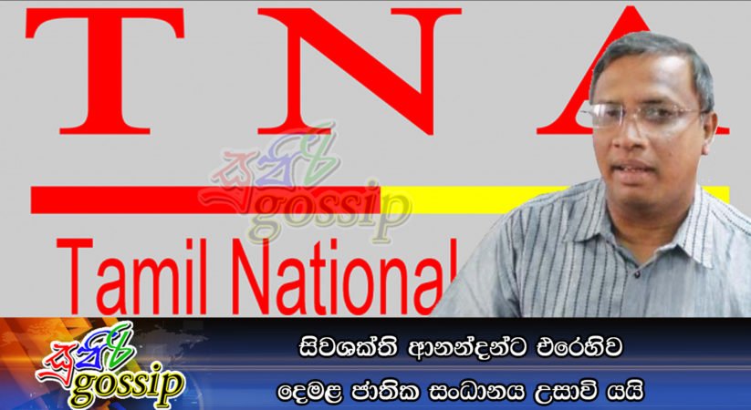 සිවශක්ති ආනන්දන්ට එරෙහිව දෙමළ ජාතික සංධානය උසාවි යයි