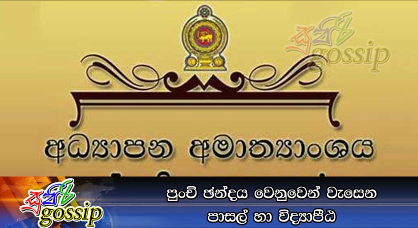 පුංදි ඡන්දය වෙනුවෙන් වැසෙන පාසල් හා විද්‍යාපීඨ