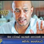 මහ දවාලේ ලොකුම හොරකම කරන්න යන්නේ මහින්ද මහත්තයයි