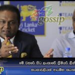 මේ වසරේ සිට ලංකාවේ ප්‍රීමියර් ලීග් 20 යි 20 තරඟාවලියක් ආරම්භ කරනවා