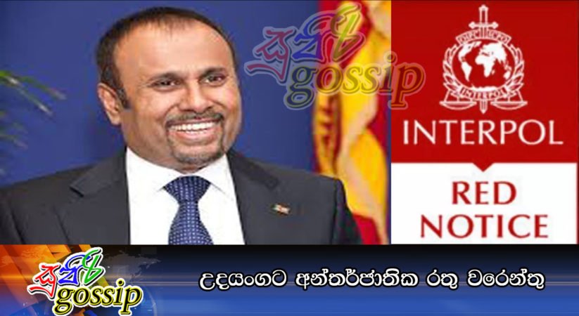 උදයංගට අන්තර්ජාතික රතු වරෙන්තු
