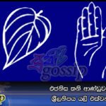 එජනිස තනි ආණ්ඩුවක් සඳහා ශ්රීලනිපය යලි එක්වන ලකුණු