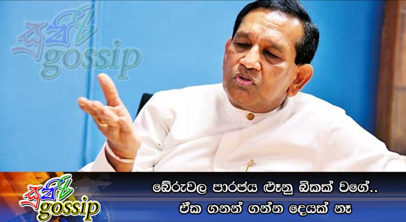 බේරුවල පාරජය ළුෑනු බිකක් වගේ.. ඒක ගනන් ගන්න දෙයක් නෑ