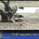 වියළි කාලගුණය තව දුරටත්