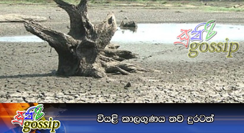 වියළි කාලගුණය තව දුරටත්