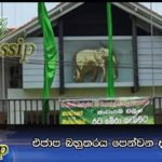 එජාප බහුතරය පෙන්වන දවස අදයි
