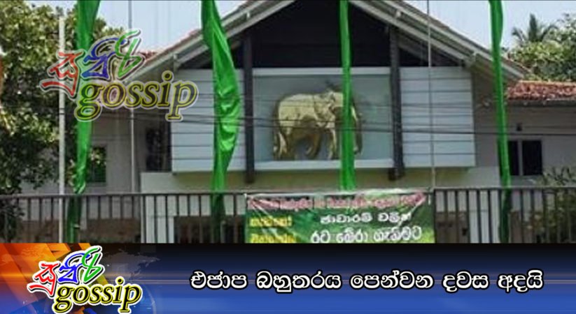 එජාප බහුතරය පෙන්වන දවස අදයි