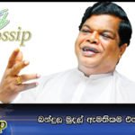 බන්දුල මුදල් ඇමතිකම එපා කියයි