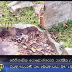 ඓතිහාසික ‍පොළොන්නරුව රාජකීය උද්‍යානයේ පිහිටි එකම ඉපැරණි ජල බේසම කඩා බිඳ දමා විනාශ කරලා